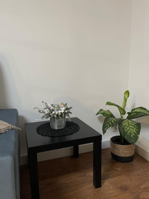 Apartament La Casa تيميشورا المظهر الخارجي الصورة